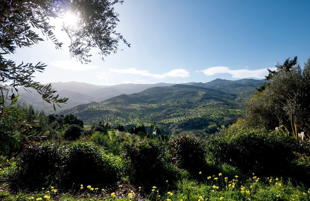 Casa Migliaca Villa Pettineo Kültér fotó